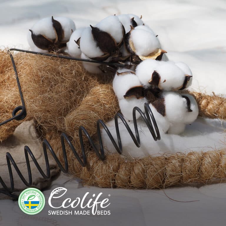 Beeldenset 1000x1000 06